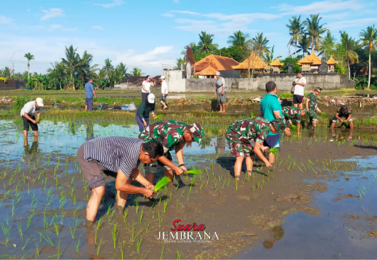 Danramil 01 Gianyar Lettu Inf. Bambang Sutikno, Genjot Peningkatan Produksi Pangan