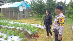Bhabinkamtibmas Desa Tuwed Dukung Ketahanan Pangan Lewat Budidaya Kangkung