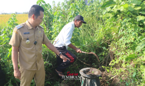 Bupati Kembang Hartawan Sidak Sumur Bor di Kabupaten Jembrana