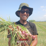 Dinamika Anak Muda Jangan Takut Jadi Petani Bawang Merah, Petani Itu Adalah Sultan