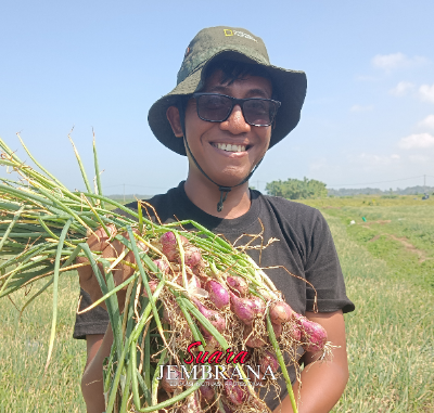 Dinamika Anak Muda Jangan Takut Jadi Petani Bawang Merah, Petani Itu Adalah Sultan
