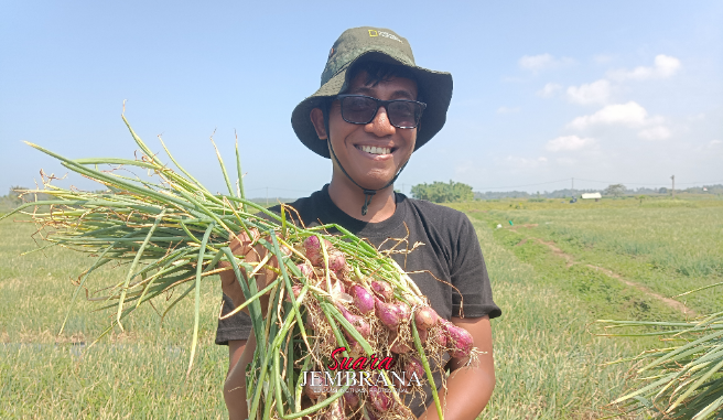 Dinamika Anak Muda Jangan Takut Jadi Petani Bawang Merah, Petani Itu Adalah Sultan
