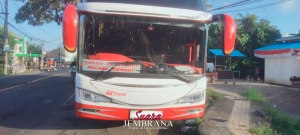 Kecelakaan Maut di Jalur Denpasar Gilimanuk, Satu Orang Meregang Nyawa