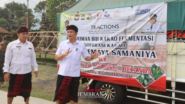 Momentum Hari Kemerdekaan, Jembrana Ekspor Kakao Ke Negeri Belanda