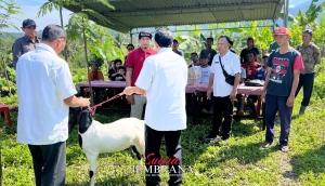 Bupati Kembang Suntik Semangat Baru Bagi Kelompok Ternak di Jembrana