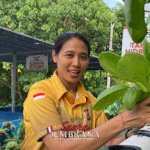 Menikmati Hasil Panen Ternak dan Sayuran di Kebun P2B Polres Jembrana