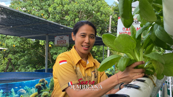 Menikmati Hasil Panen Ternak dan Sayuran di Kebun P2B Polres Jembrana