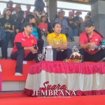 Lomba Makepung Bupati Cup Serangkaian HUT RI dan HUT Kota Negara