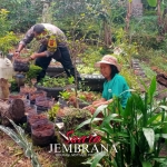Pembinaan Ketahanan Pangan Lewat Pekarangan Pangan Bergizi