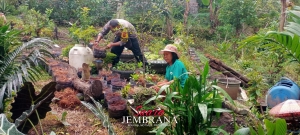 Pembinaan Ketahanan Pangan Lewat Pekarangan Pangan Bergizi