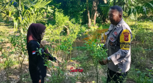 Bhabinkamtibmas Dorong Upaya Program Pekarangan Pangan Bergizi Bagi Masyarakat