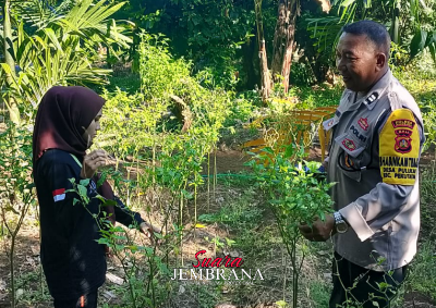 Bhabinkamtibmas Dorong Upaya Program Pekarangan Pangan Bergizi Bagi Masyarakat