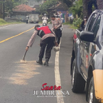 Cegah Laka Lantas, Personel Polres Jembrana Timbun Pasir di Jalur Denpasar–Gilimanuk