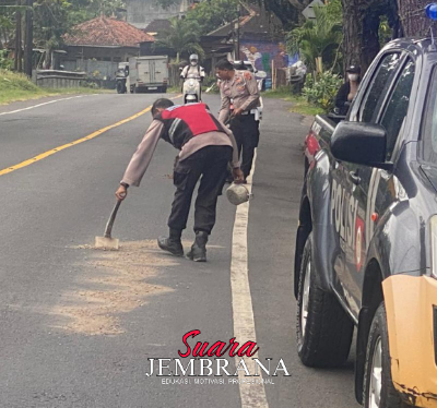 Cegah Laka Lantas, Personel Polres Jembrana Timbun Pasir di Jalur Denpasar–Gilimanuk