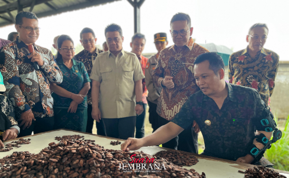 Desa Devisa Kakao Jembrana, Melepas Ekspor Kakao Fermentasi Ke Luar Negeri
