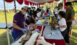 Sinergi Pemprov Bali dan Pemkab Jembrana Tekan Kasus Rabies
