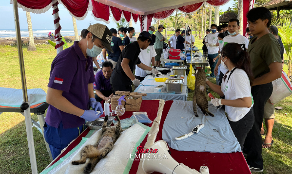 Sinergi Pemprov Bali dan Pemkab Jembrana Tekan Kasus Rabies