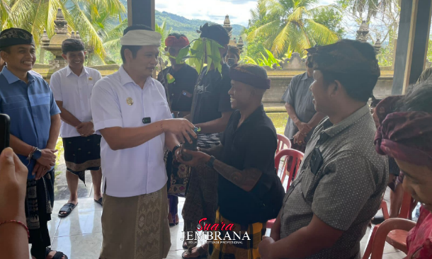 Pemkab Jembrana Serahkan 100 Ribu Bibit Kakao Unggul, Komitmen Menuju “Jembrana Kota Coklat”