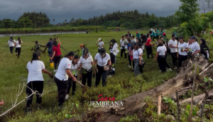 Rayakan HUT KORPRI, ASN Tanam Ribuan Bibit Pohon Hijaukan Daerah Aliran Sungai