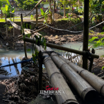 Jalur Mediasi, Warga Kini Dapatkan Akses Jalan Tak Lagi Lewati Jembatan Bambu