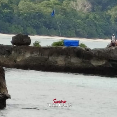 Hilang Secara Misterius Pemancing di Kawasan Taman Nasional Alas Purwo