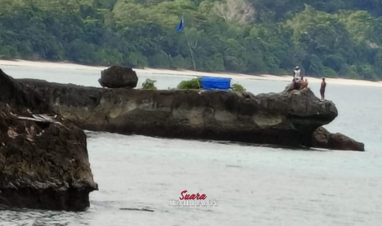 Hilang Secara Misterius Pemancing di Kawasan Taman Nasional Alas Purwo