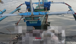 Dikira Onggokan Kayu Terapung, Nelayan Temukan Mayat Tanpa Identitas