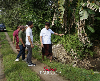 Bupati Kembang Tinjau Jalan Pekutatan: Infrastruktur Harus Tahan Lama, Drainase Jadi Kunci