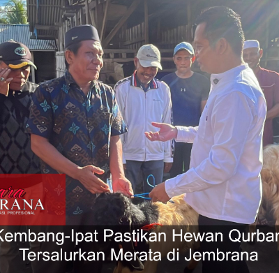 Kembang-Ipat Pastikan Hewan Qurban Tersalurkan Merata di Jembrana