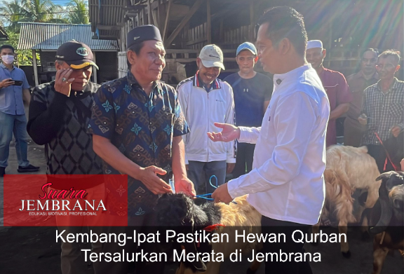 Kembang-Ipat Pastikan Hewan Qurban Tersalurkan Merata di Jembrana