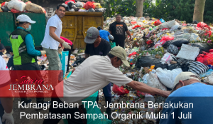 Kurangi Beban TPA, Jembrana Berlakukan Pembatasan Sampah Organik Mulai 1 Juli