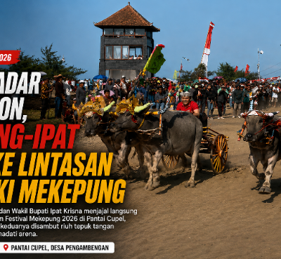Tak Sekadar Menonton, Kembang-Ipat Turun ke Lintasan Jadi Joki Mekepung