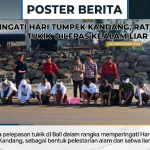 Peringati Hari Tumpek Kandang, Ratusan Tukik Dilepas ke Alam Liar