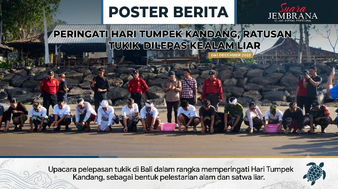 Peringati Hari Tumpek Kandang, Ratusan Tukik Dilepas ke Alam Liar