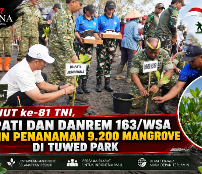 HUT ke-81 TNI, Bupati dan Danrem 163/WSA Pimpin Penanaman 9.200 Mangrove di Tuwed Park