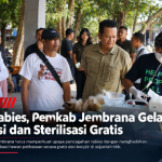Tekan Rabies, Pemkab Jembrana Gelar Vaksinasi dan Sterilisasi Gratis