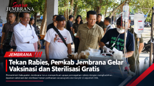 Tekan Rabies, Pemkab Jembrana Gelar Vaksinasi dan Sterilisasi Gratis