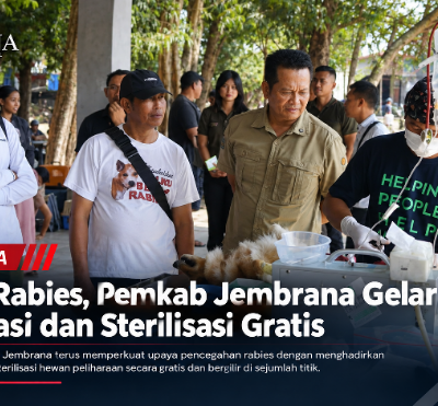 Tekan Rabies, Pemkab Jembrana Gelar Vaksinasi dan Sterilisasi Gratis