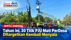 Tahun ini, 20 Titik PJU Mati PerDesa Ditargetkan Kembali Menyala